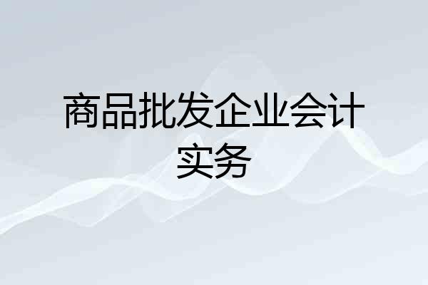 商品批发企业会计实务