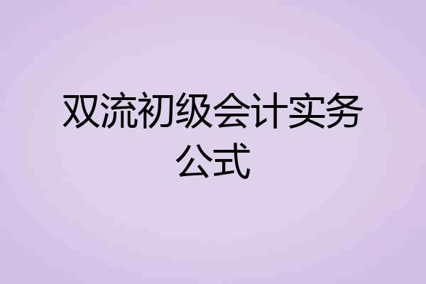 双流初级会计实务公式