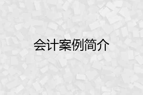 会计案例简介