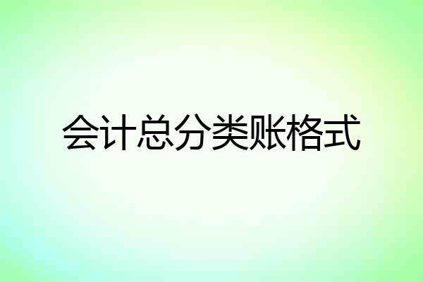 会计总分类账格式