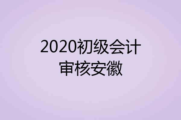 2020初级会计审核安徽
