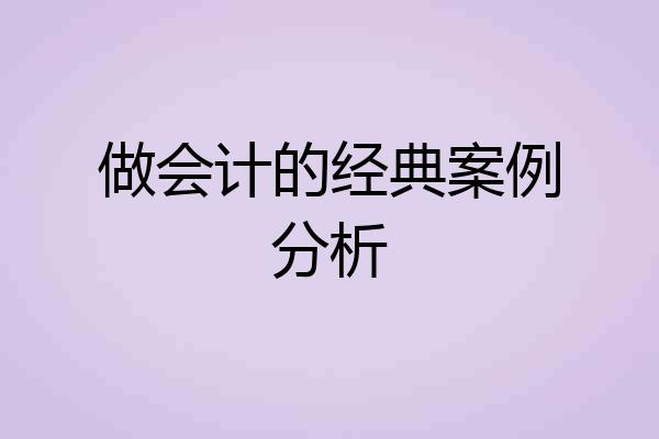 做会计的经典案例分析