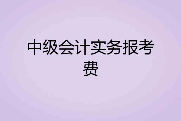中级会计实务报考费
