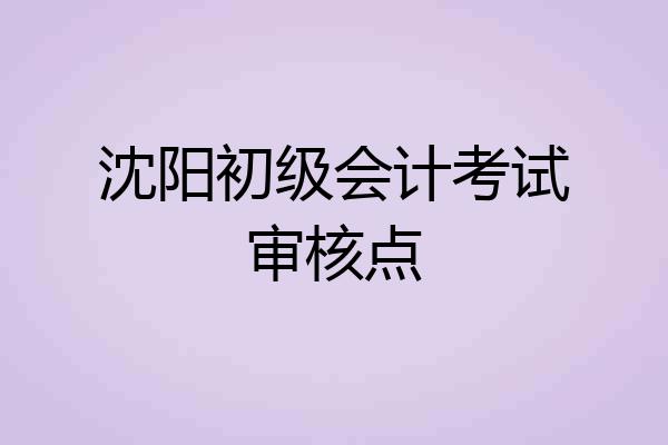 沈阳初级会计考试审核点