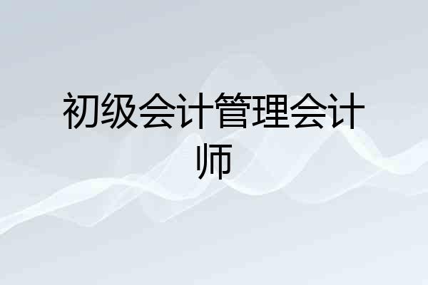 初级会计管理会计师