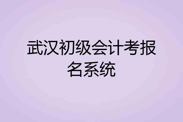 武汉初级会计考报名系统