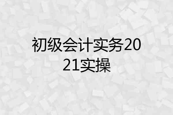 初级会计实务2021实操