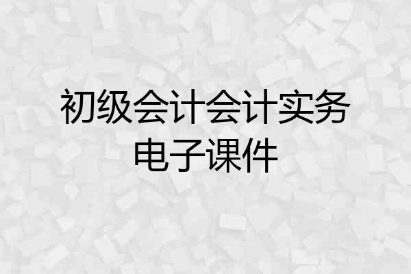初级会计会计实务电子课件