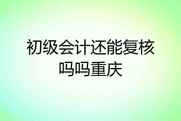 初级会计还能复核吗吗重庆