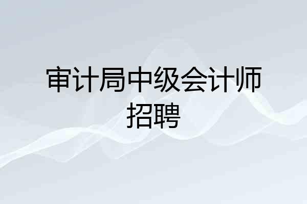 审计局中级会计师招聘