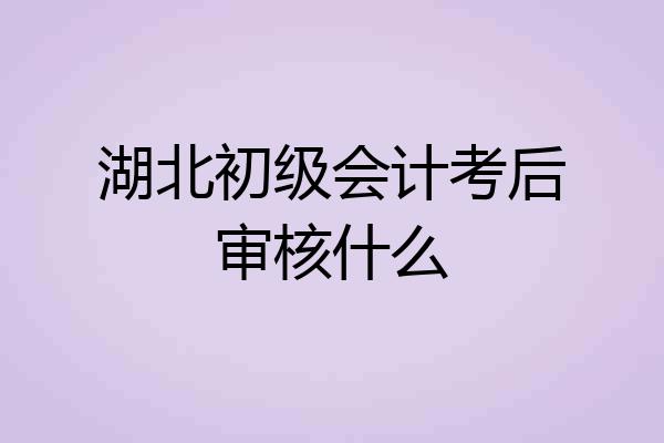 湖北初级会计考后审核什么