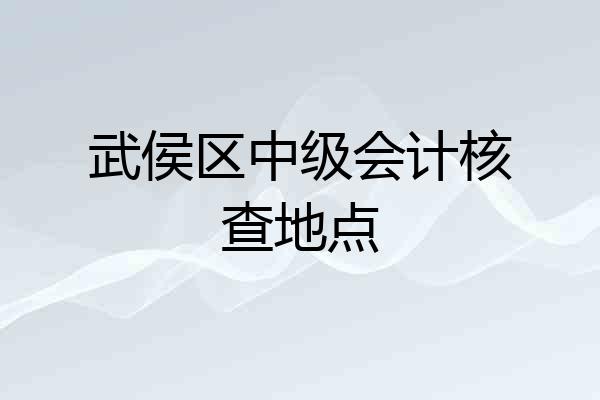 武侯区中级会计核查地点