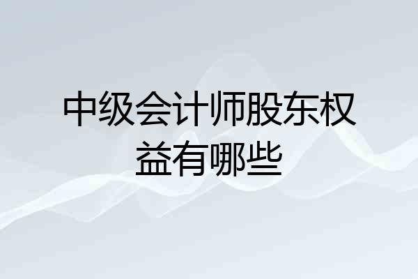 中级会计师股东权益有哪些