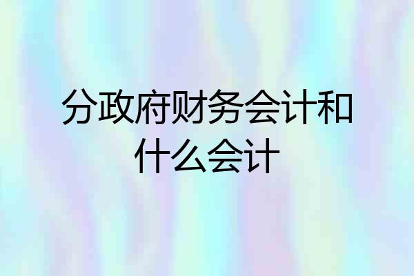 分政府财务会计和什么会计