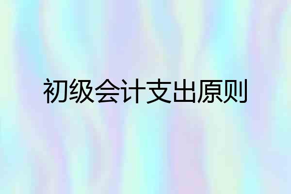 初级会计支出原则