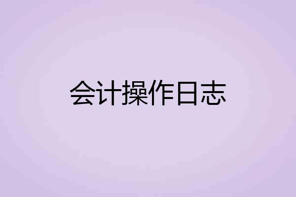 会计操作日志