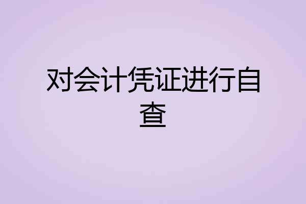 对会计凭证进行自查