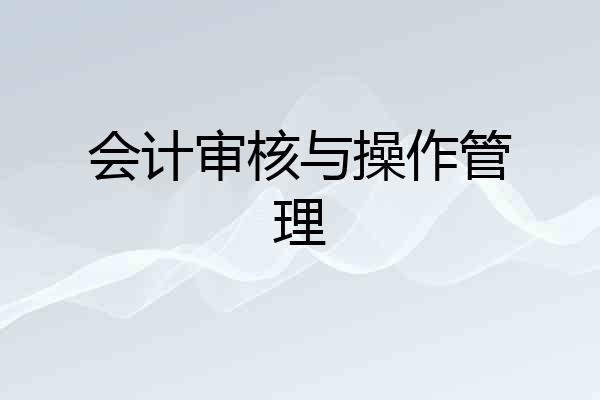 会计审核与操作管理