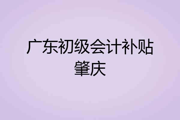 广东初级会计补贴肇庆