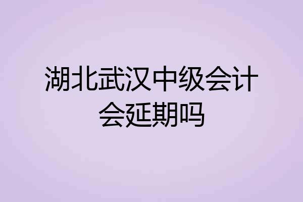湖北武汉中级会计会延期吗