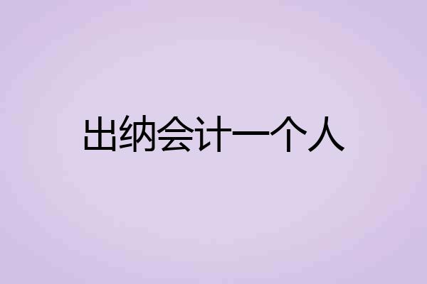 出纳会计一个人