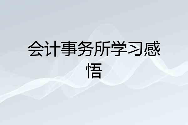 会计事务所学习感悟