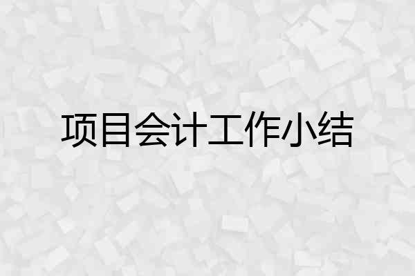 项目会计工作小结