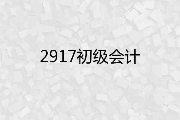 2917初级会计