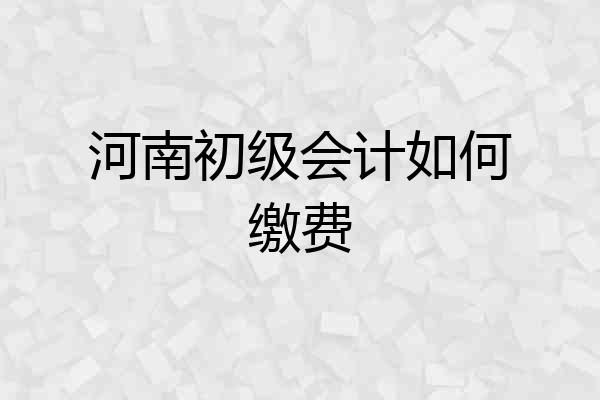 河南初级会计如何缴费