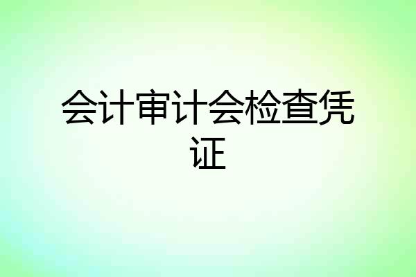 会计审计会检查凭证