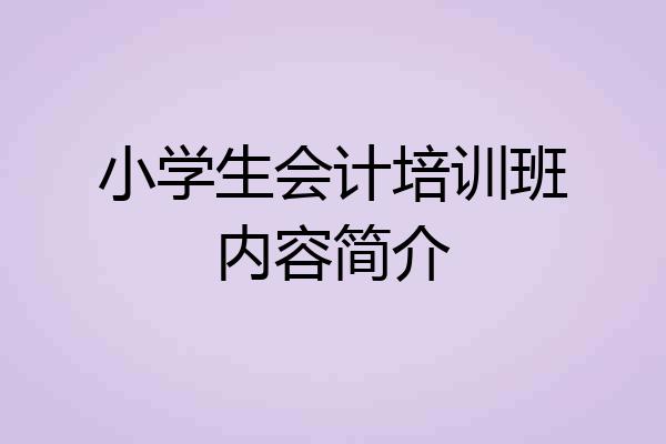 小学生会计培训班内容简介