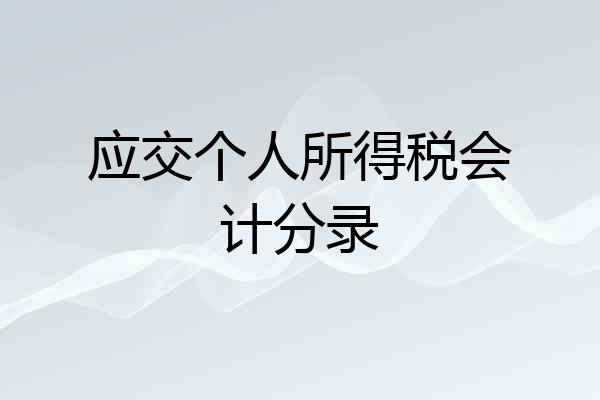 应交个人所得税会计分录