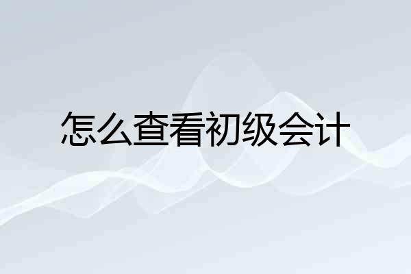怎么查看初级会计