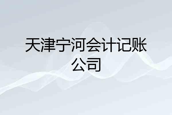 天津宁河会计记账公司
