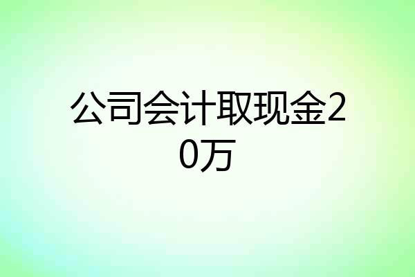 公司会计取现金20万