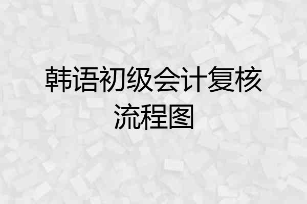 韩语初级会计复核流程图