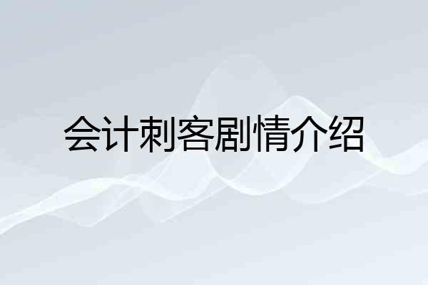 会计刺客剧情介绍
