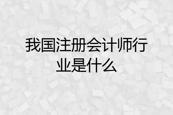 我国注册会计师行业是什么