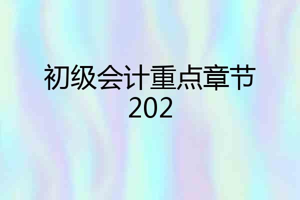 初级会计重点章节202