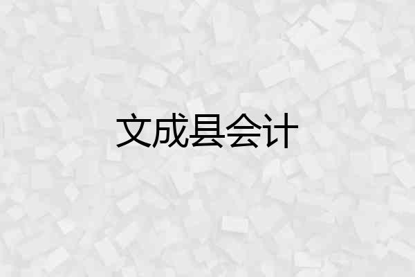 文成县会计