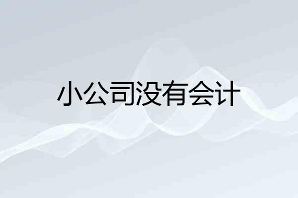 小公司没有会计