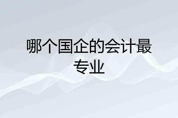 哪个国企的会计最专业