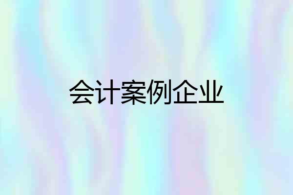 会计案例企业