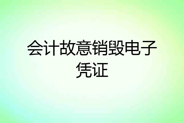 会计故意销毁电子凭证