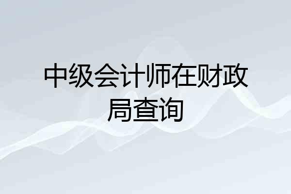 中级会计师在财政局查询