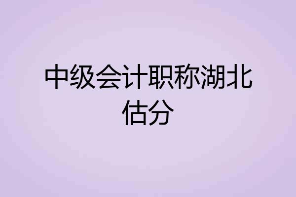 中级会计职称湖北估分