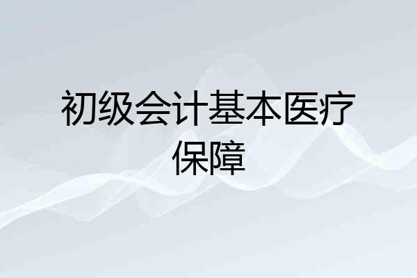 初级会计基本医疗保障