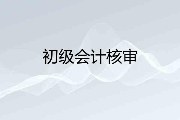 初级会计核审
