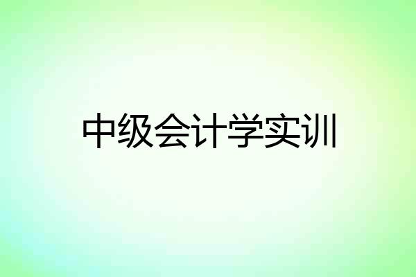 中级会计学实训