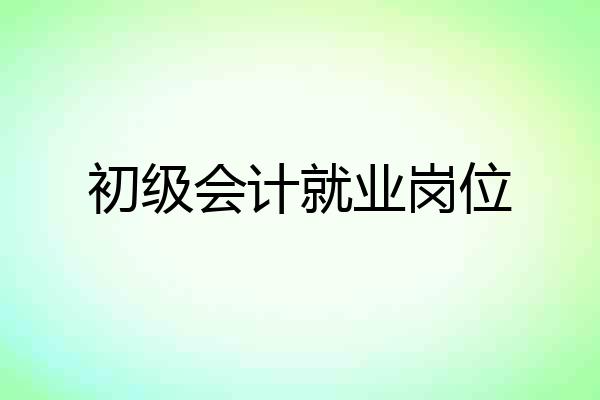 初级会计就业岗位